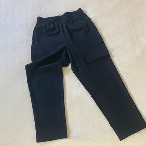 Everlane Japanese GoWeave Easy Pant